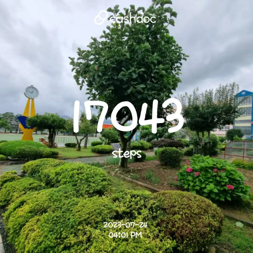 오늘도  만보는 했어요 ~^^