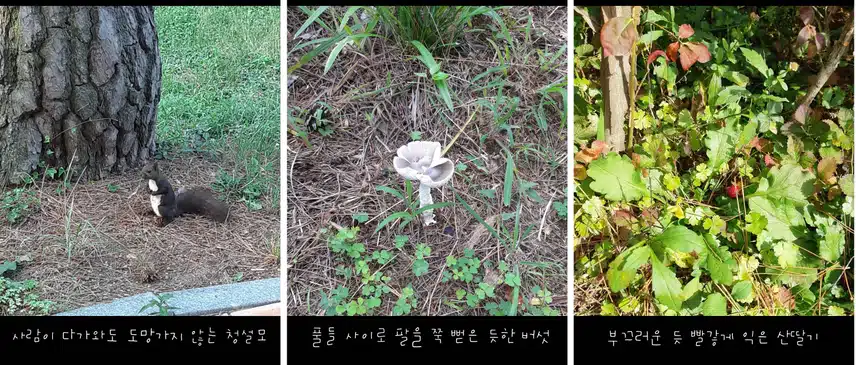 산들 바람을 따라 기분 좋은 산책 사운드