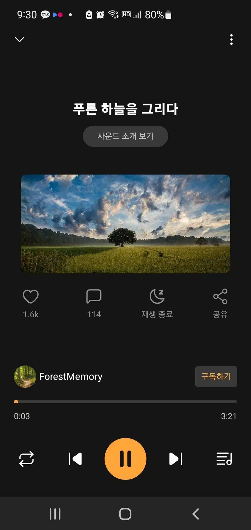 푸른 하늘을 그리다