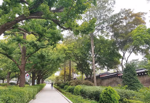 산책할 때 좋은 음악  