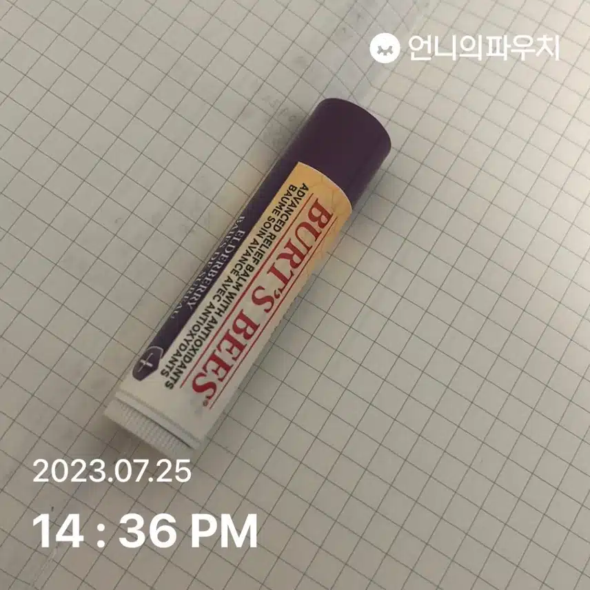 버츠비 립밤