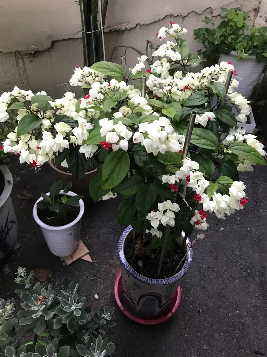 생명을 키운다는 게 두렵게 느껴져요,,
