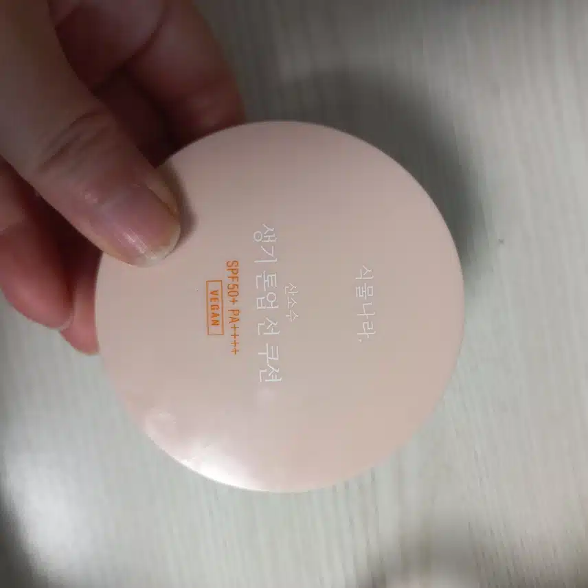 선쿠션