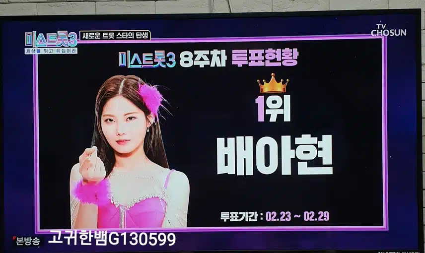 🌸 미스트롯3에서 저를 위로해주는 배아현 님에게 오늘도 팬마음 투표합니다 🗳🌸