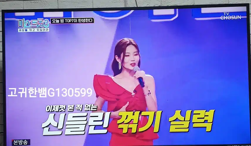 🌸 미스트롯3에서 저를 위로해주는 배아현 님에게 오늘도 팬마음 투표합니다 🗳🌸
