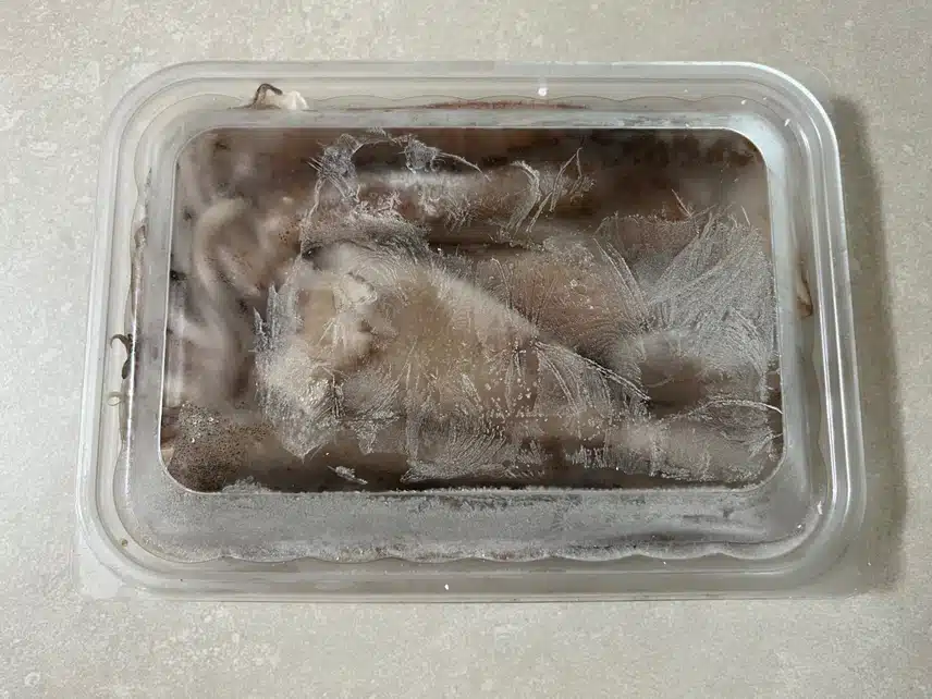 수산대전에서 구매한 단백질 가득 오징어 활용요리소개☺️