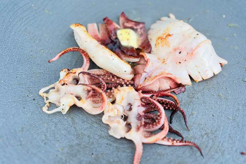캐시딜 수산대전으로 어촌경제도 살리고, 우리집 살림도 살리고, 입맛도 살려요👍