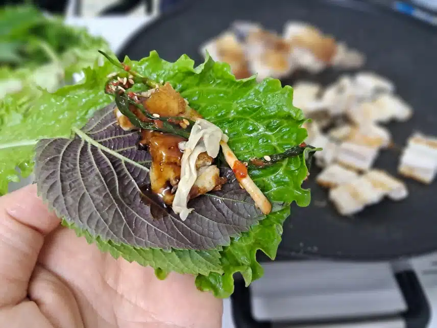 수산대전 영원했으면~~!! (feat.캐시딜 장어)