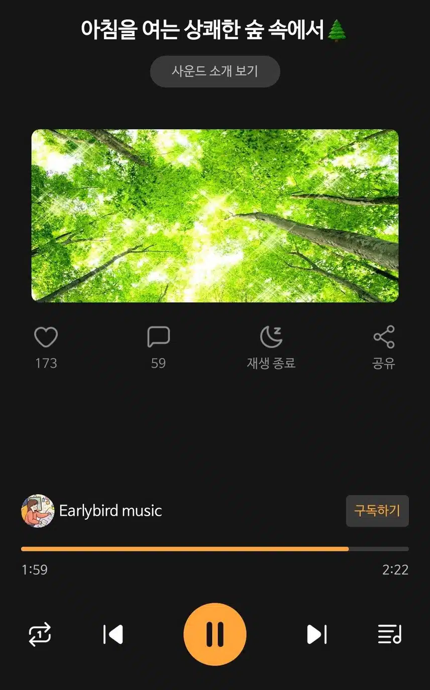아침을 여는 상쾌한 숲 속에서