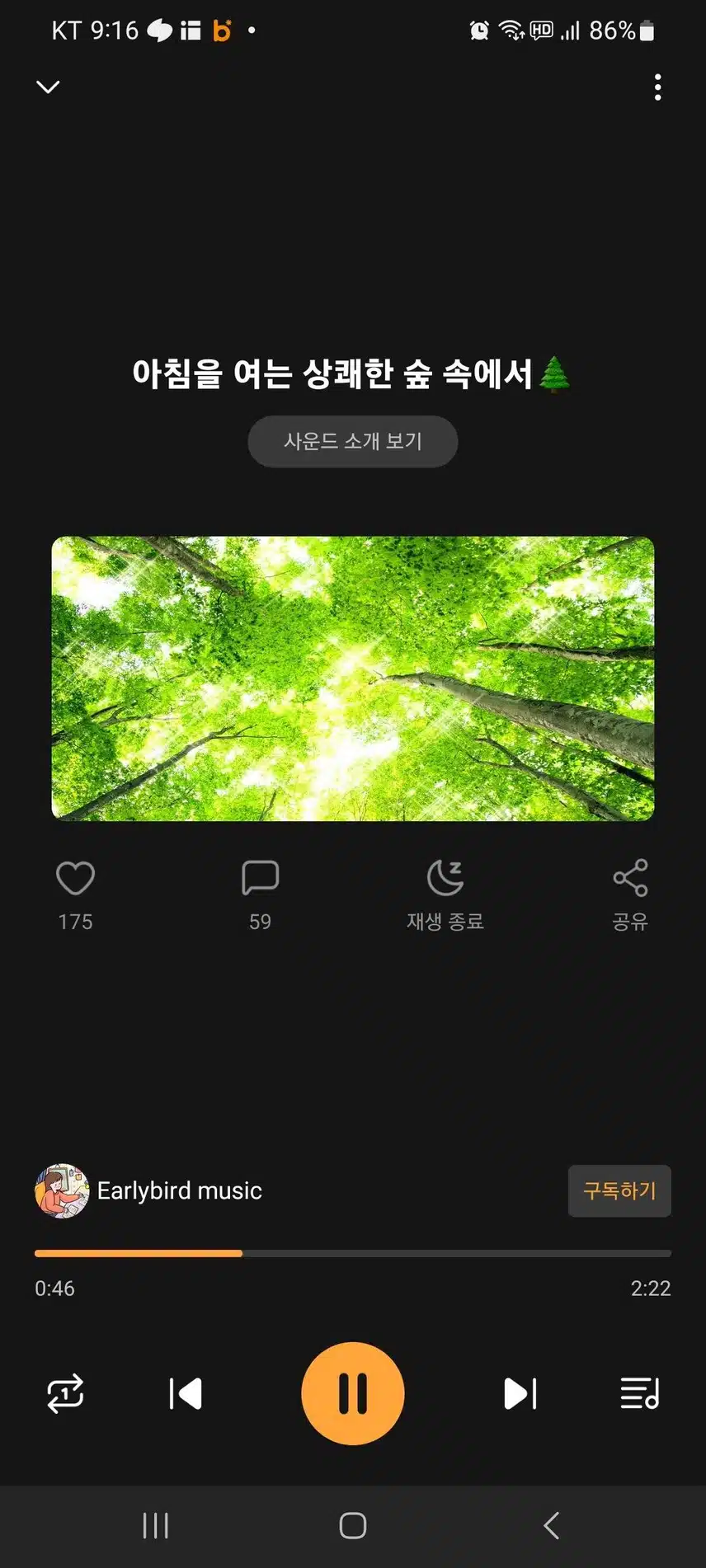 아침을 여는 상쾌한 숲속에서