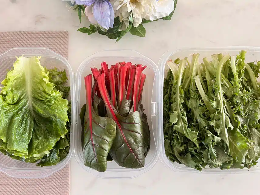 🥬쌈채소 3종 준비