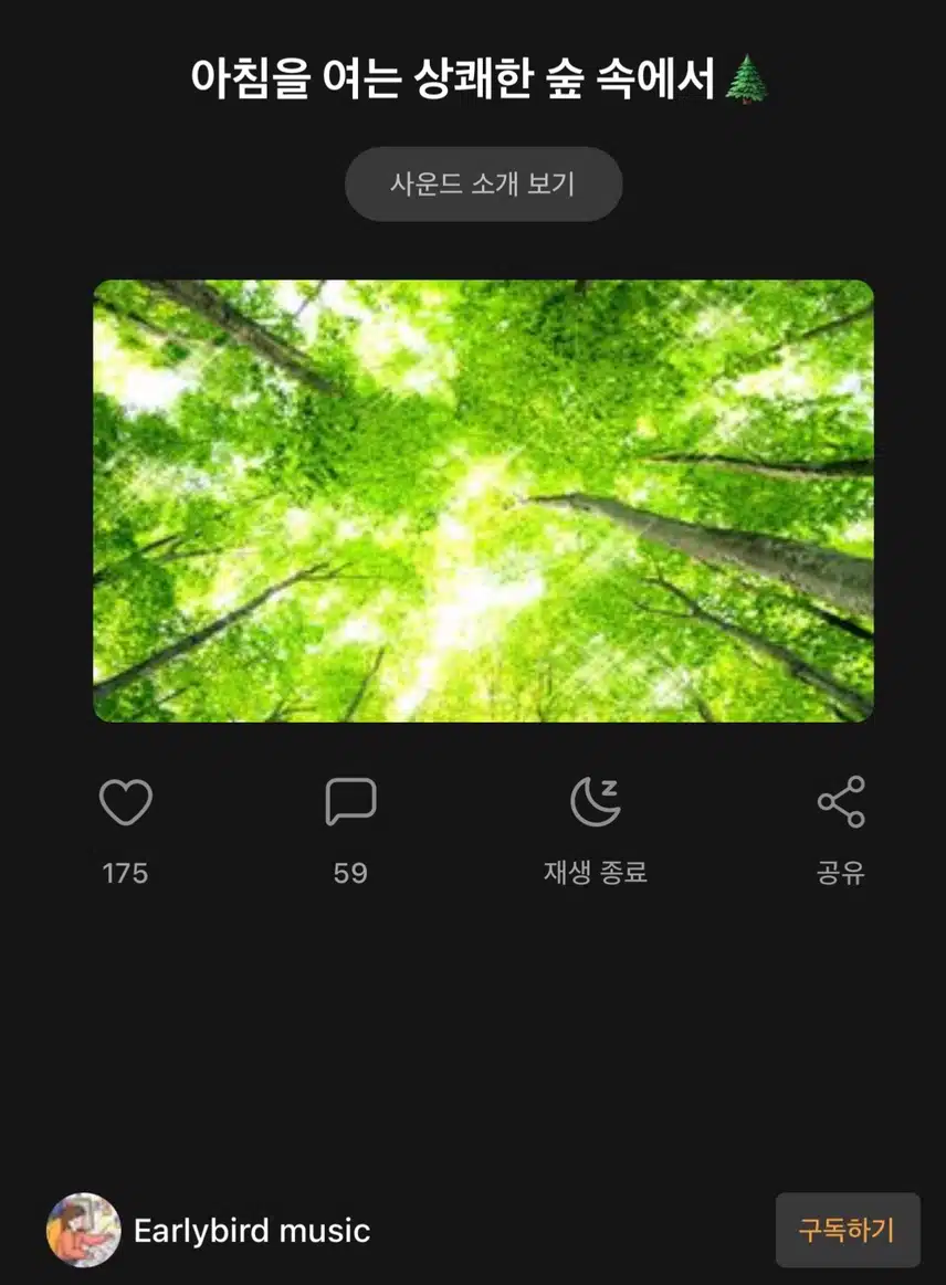 산책할때 듣기 좋은 노래 [아침을 여는 상쾌한 숲 속에서]