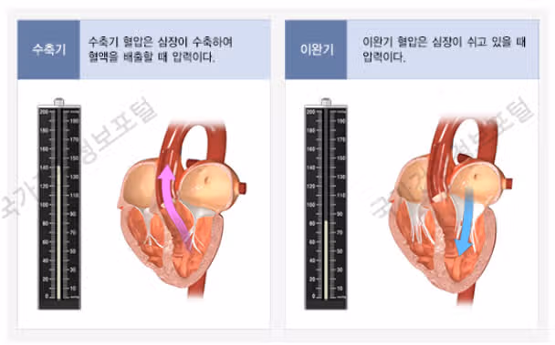 (꿀팁) 침묵의 살인자 !! 당신의 혈압은 안전한가요?? 