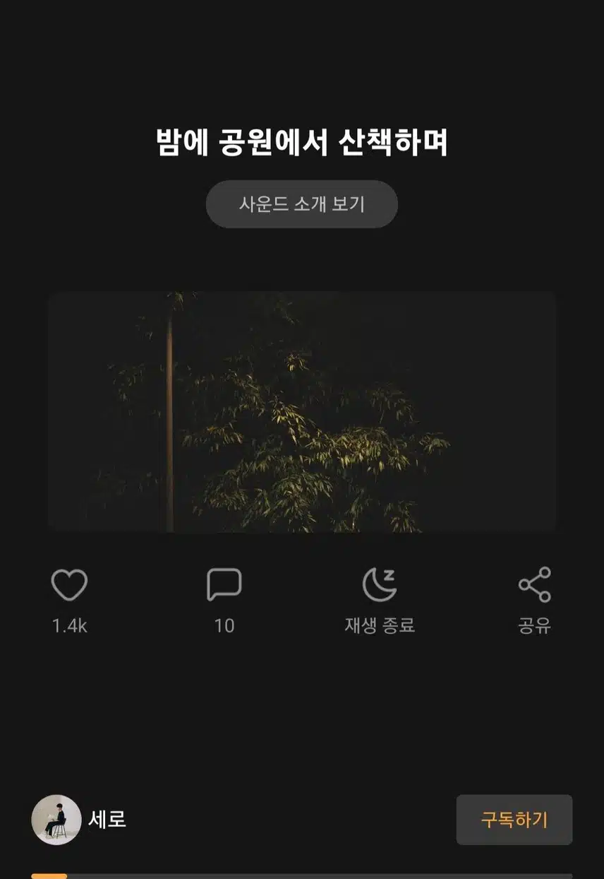 밤에 공원에서 산책하며