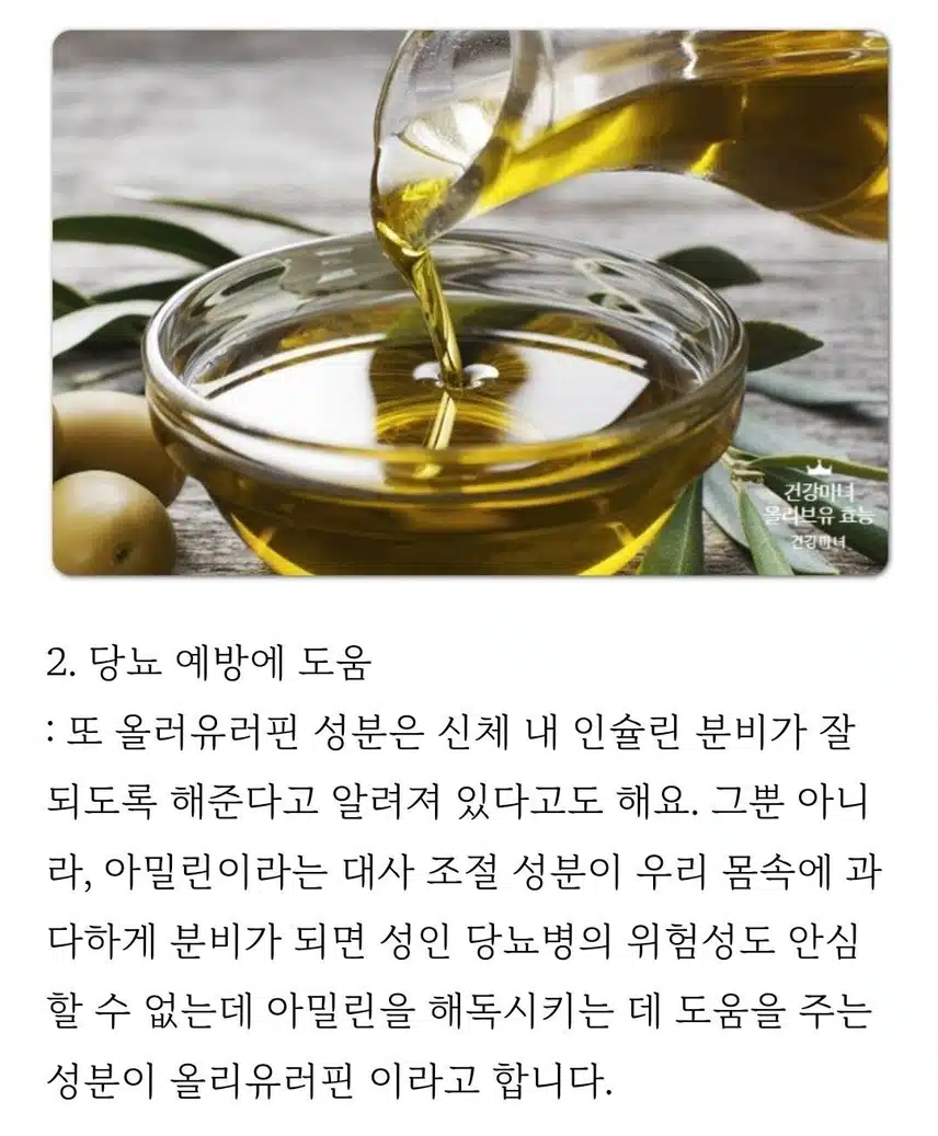  [꿀팁] 신이내린 선물 올리브유로 혈압이 낮아졌어요