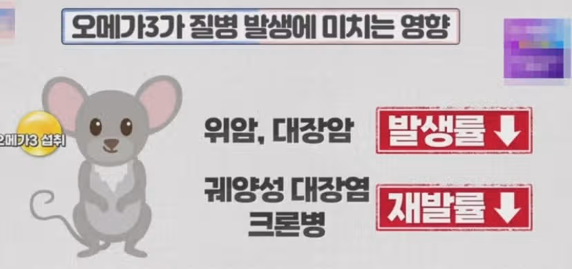 닥터린 초임계 알티지 오메가3 꼭 챙겨먹고잇어요