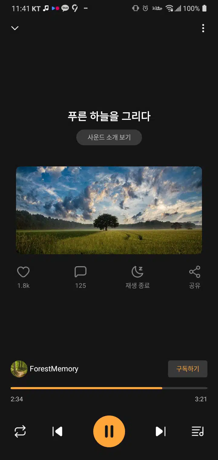 푸른 하늘을 그리다