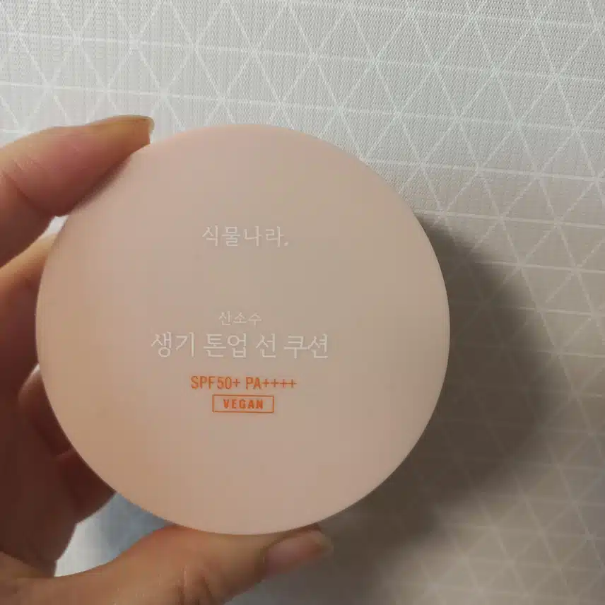 선쿠션