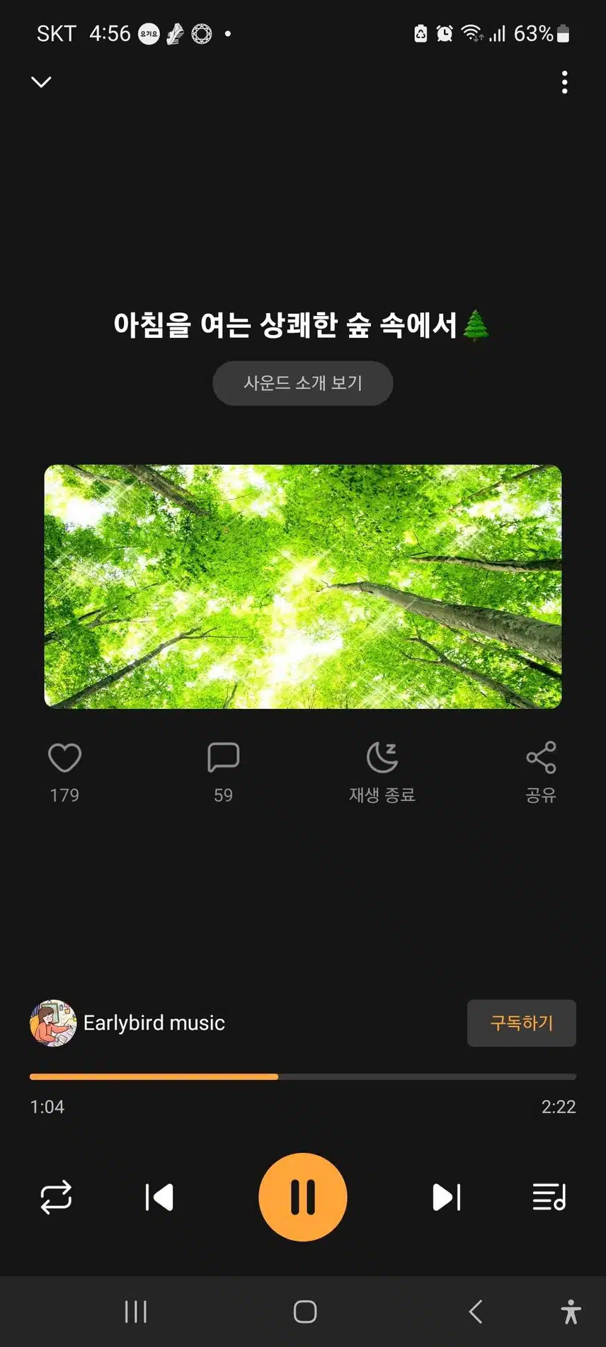 아침을 여는 상쾌한 숲속에서