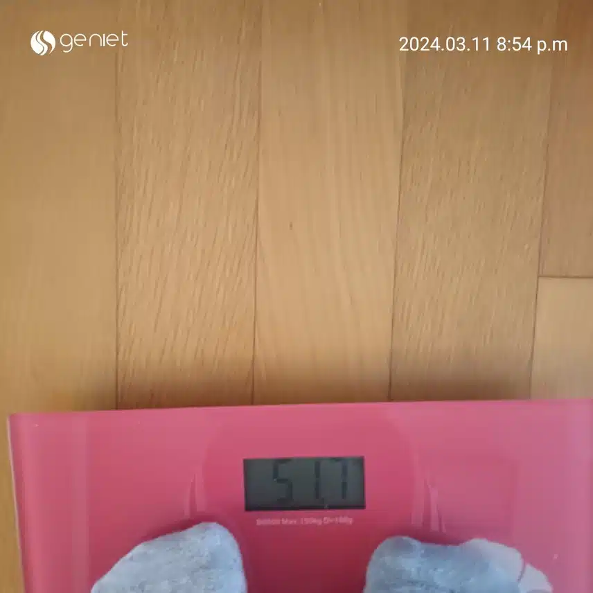 다이어트 후기