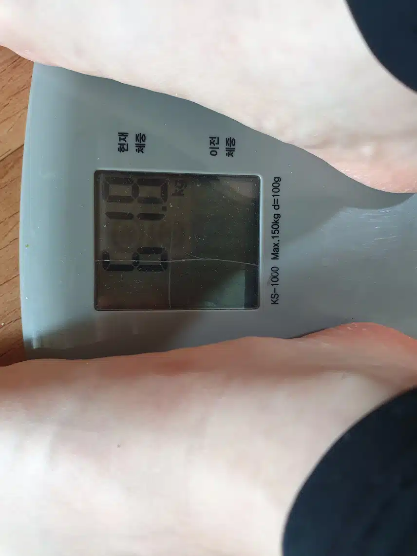 천천히 다이어트하기