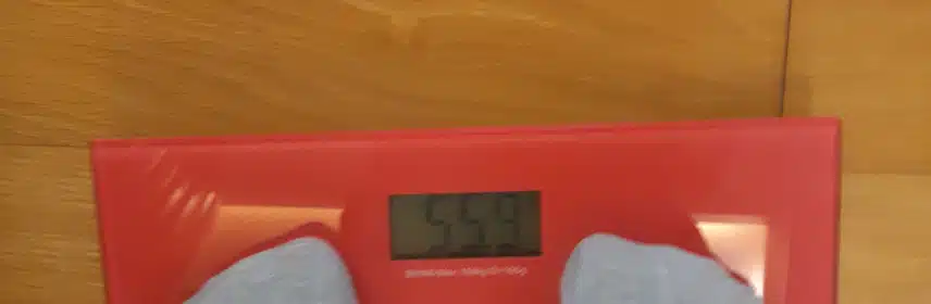 다이어트 후기