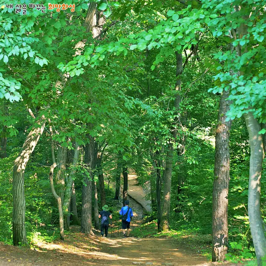 화성 서봉산 산림욕장