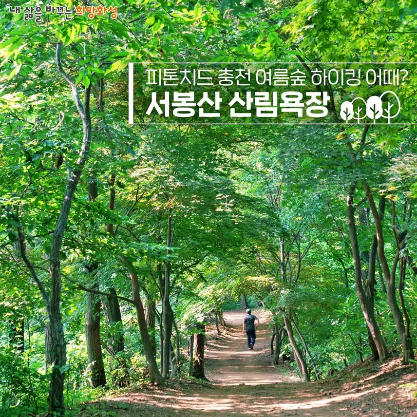 화성 서봉산 산림욕장