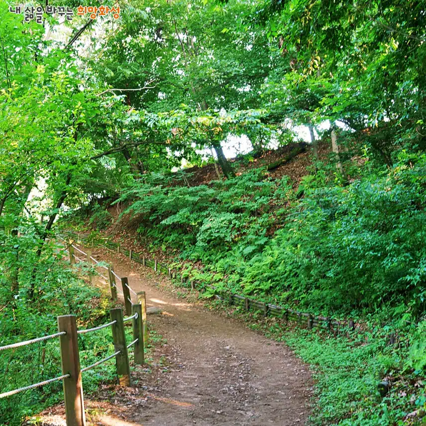 화성 서봉산 산림욕장