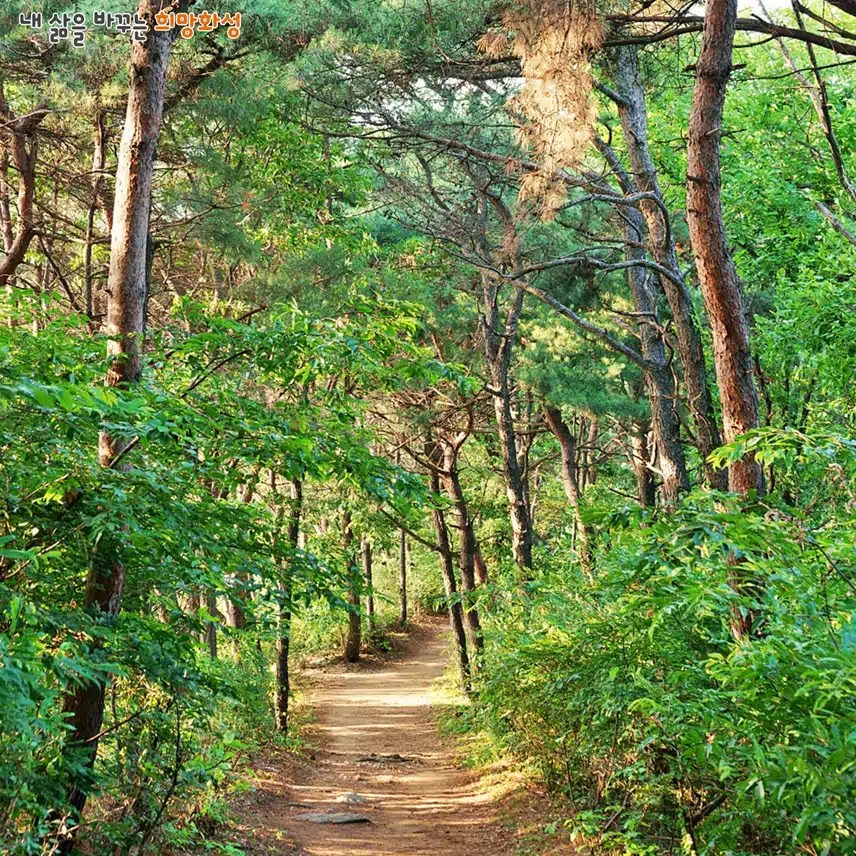 화성 서봉산 산림욕장
