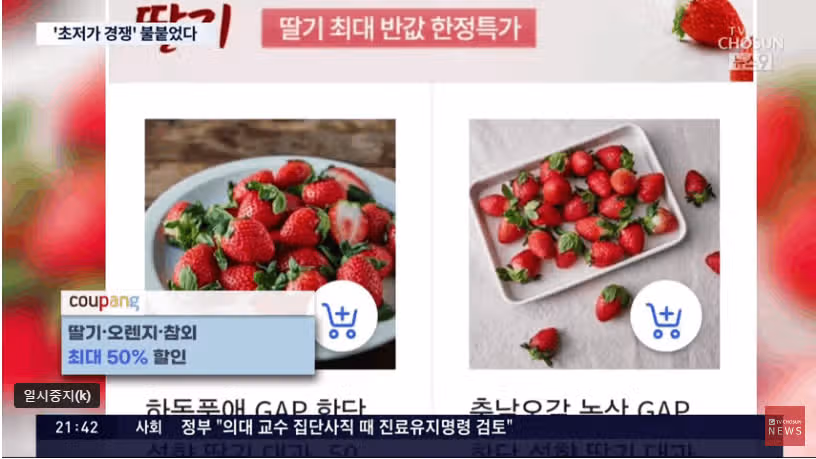 유통가, 알리발 '초저가' 경쟁 돌입