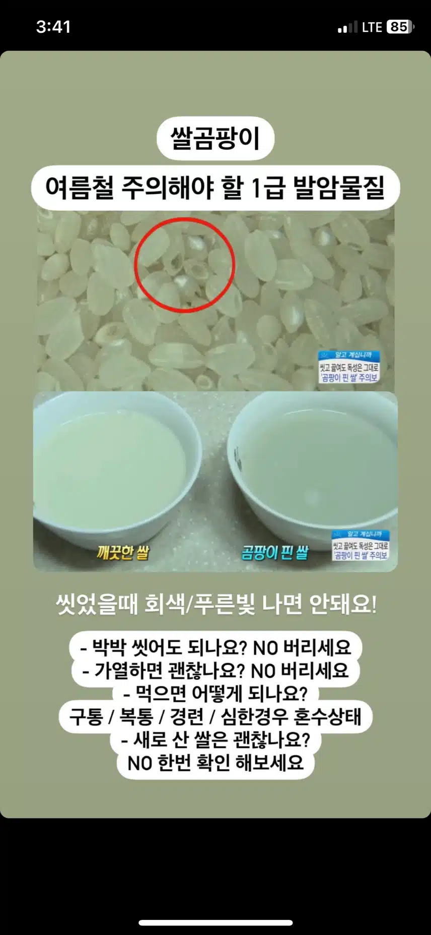 쌀 드실 때 조심히 드세요