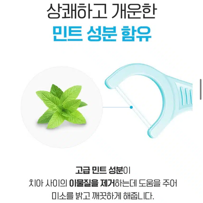 플래커스 치실