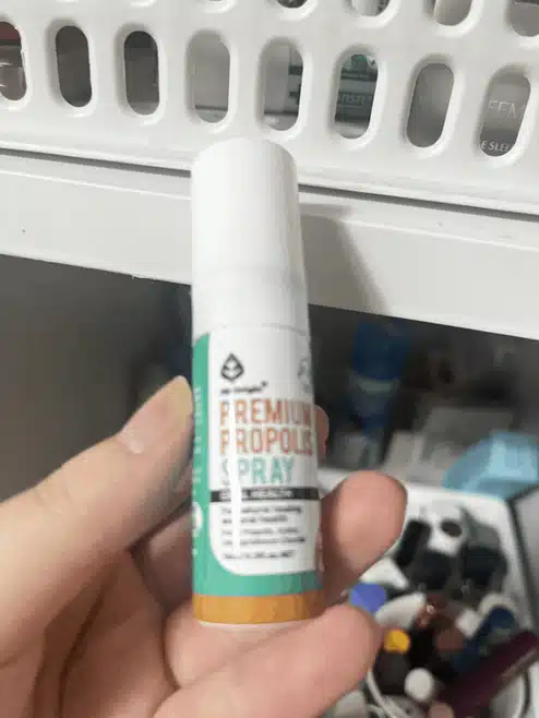 덴티스테 후레쉬 브레스스프레이