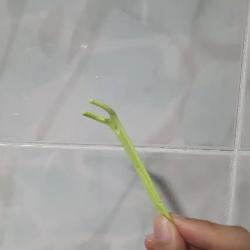 플래커스 치실 추천합니다