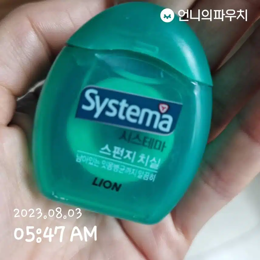 시스테마 스펀지 치실