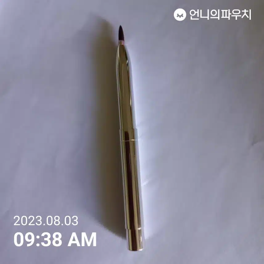 립브러쉬