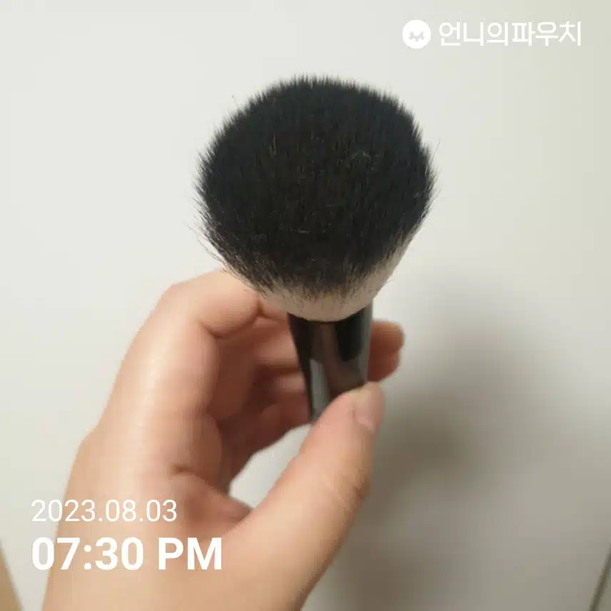 [이주의 키워드] 다이소 파우더 브러쉬