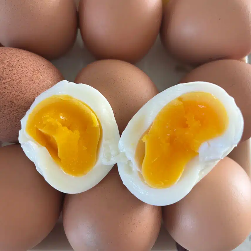 🥚계란 삶았어요 😊감동란 성공