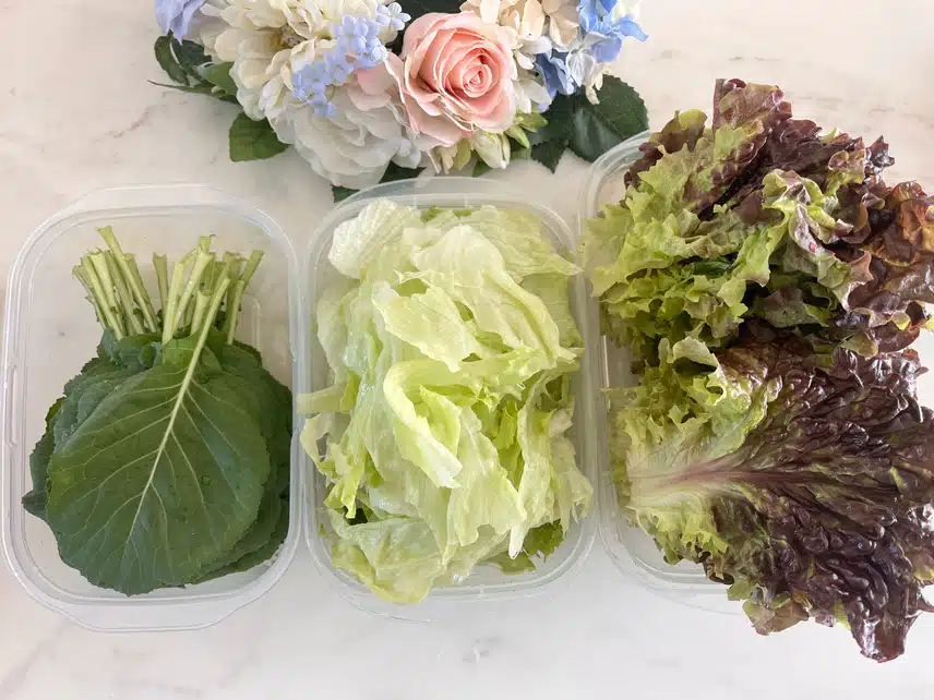 🥬 채소 씻어 준비 완료