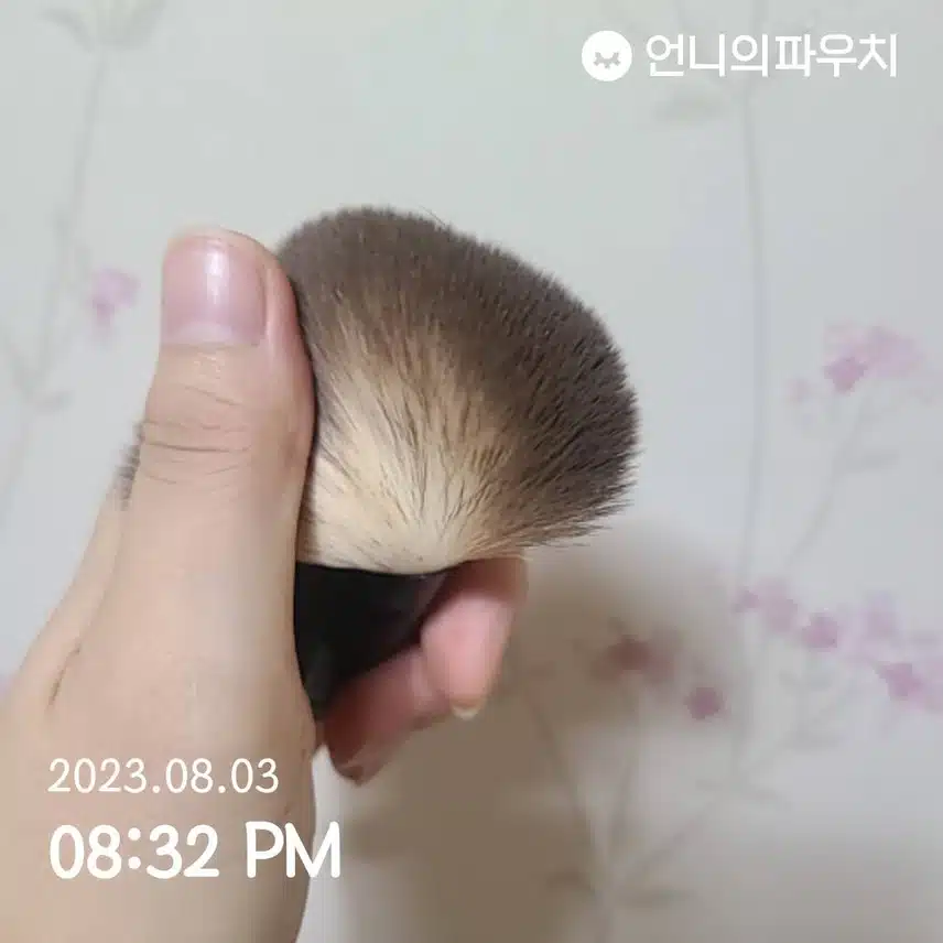 다이소 브러쉬