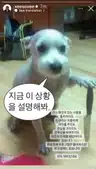 board-img