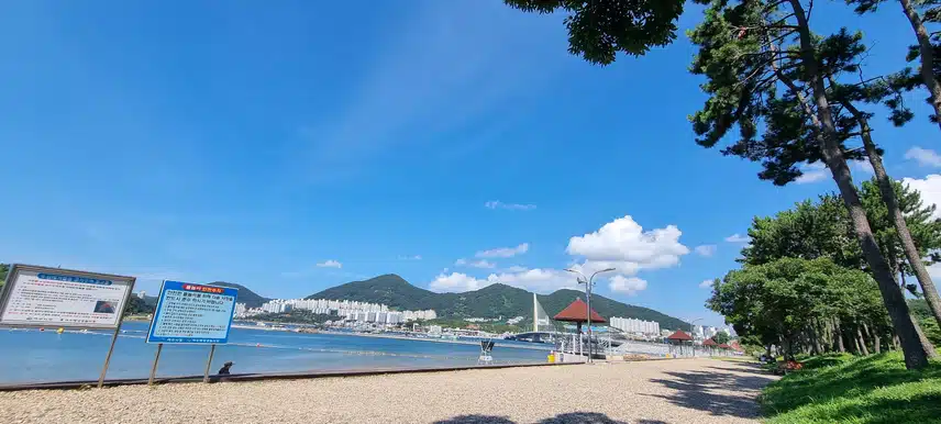 이박삼일🖐🖐