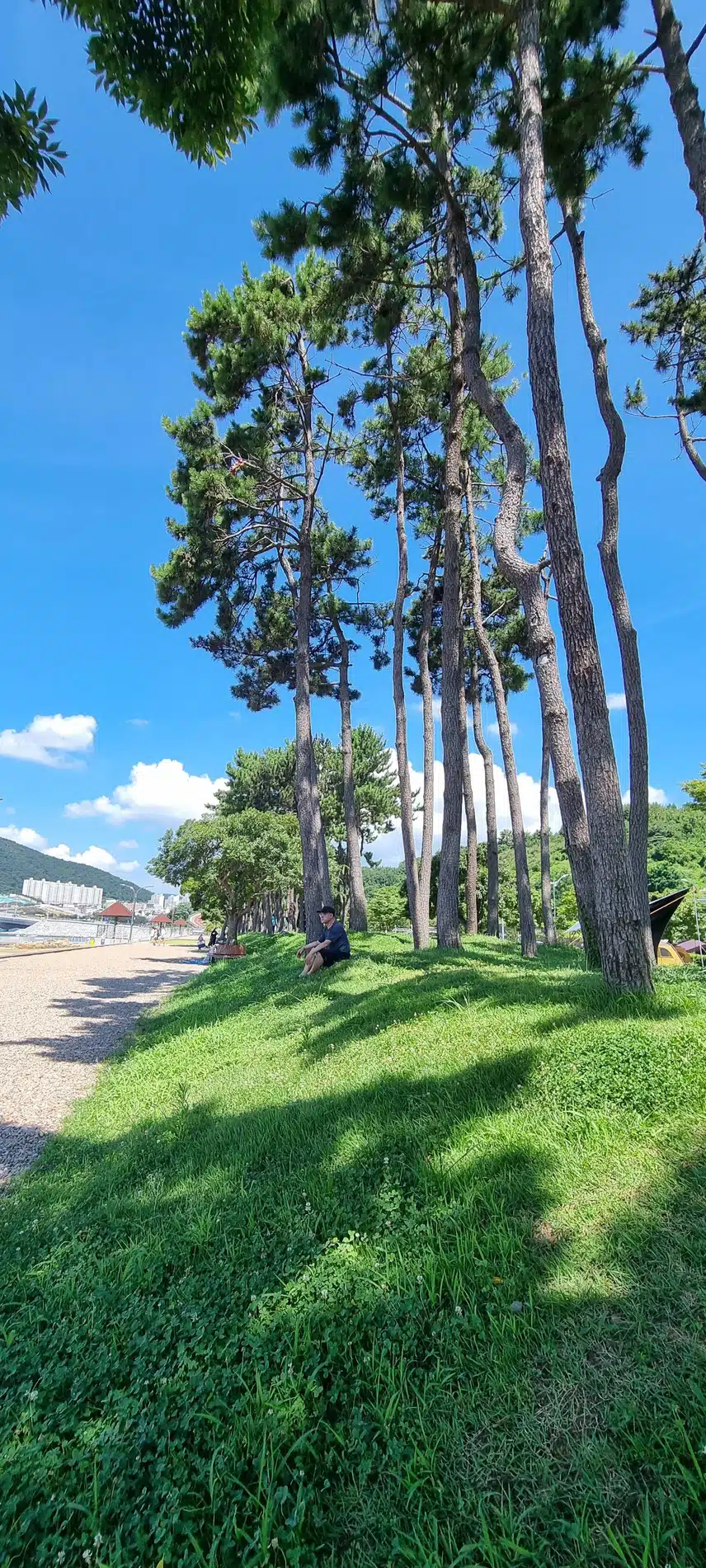 이박삼일🖐🖐