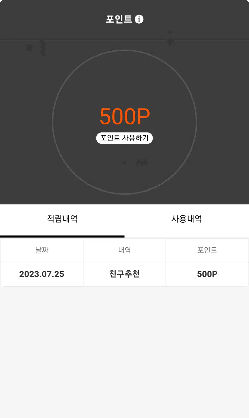포인트 사용