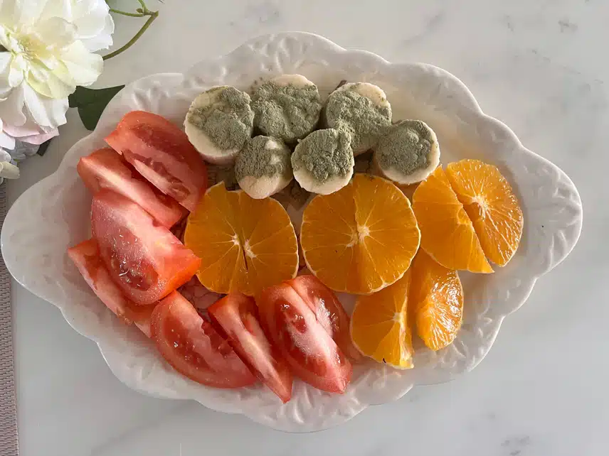🍊오후시간 상큼하고 🍅시원한 과일 충전 🍌