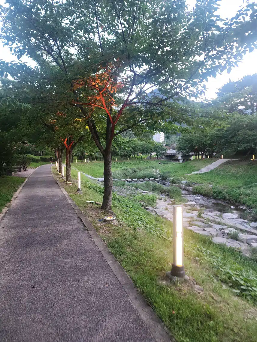 만보걷기