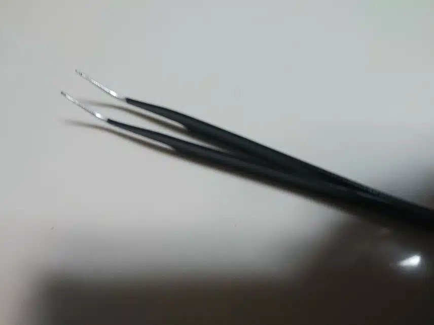 속눈썹 필수템
