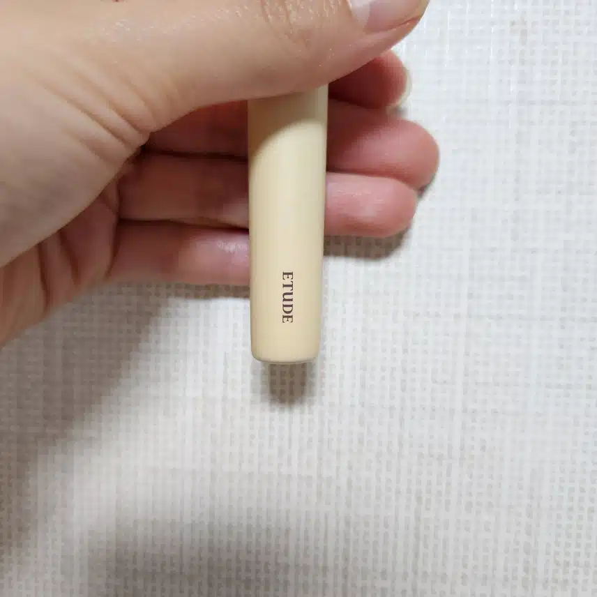 내돈내산 미용소품 추천합니다. [에뛰드 조효진 그림자 브러쉬]