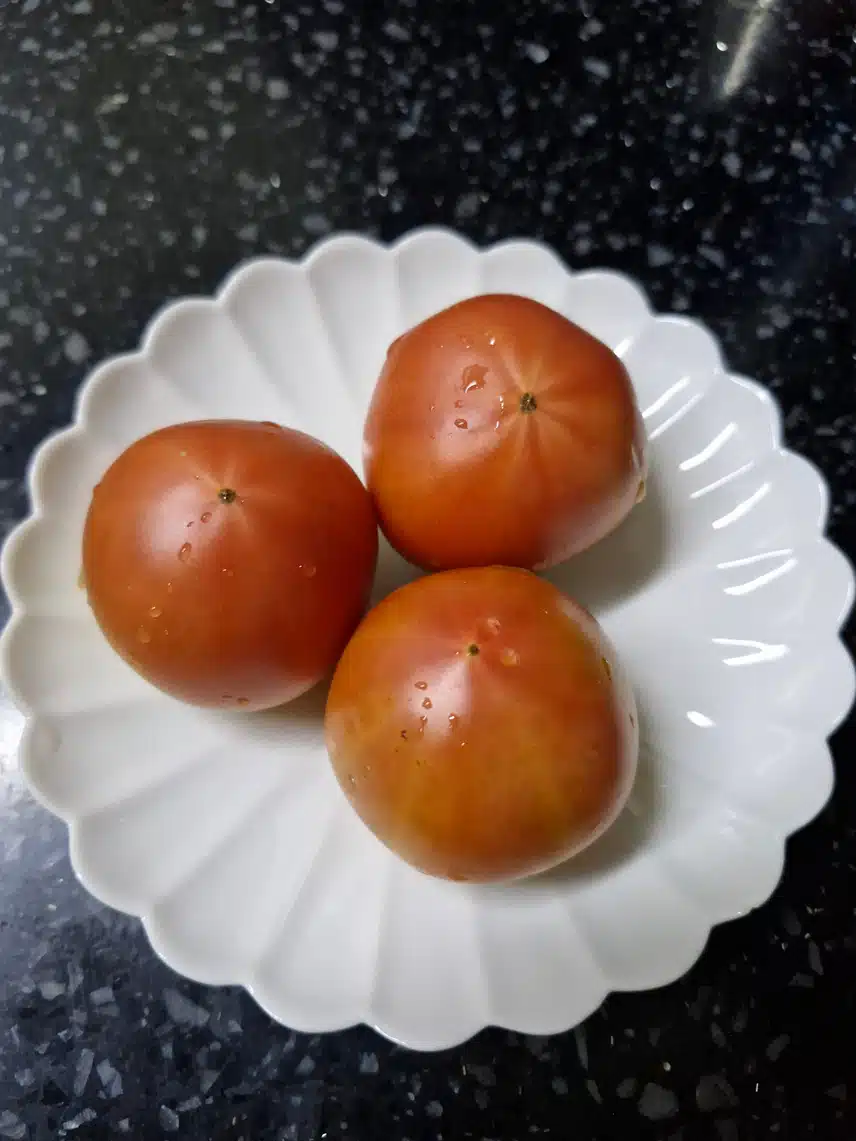 산책후엔 토마토~~